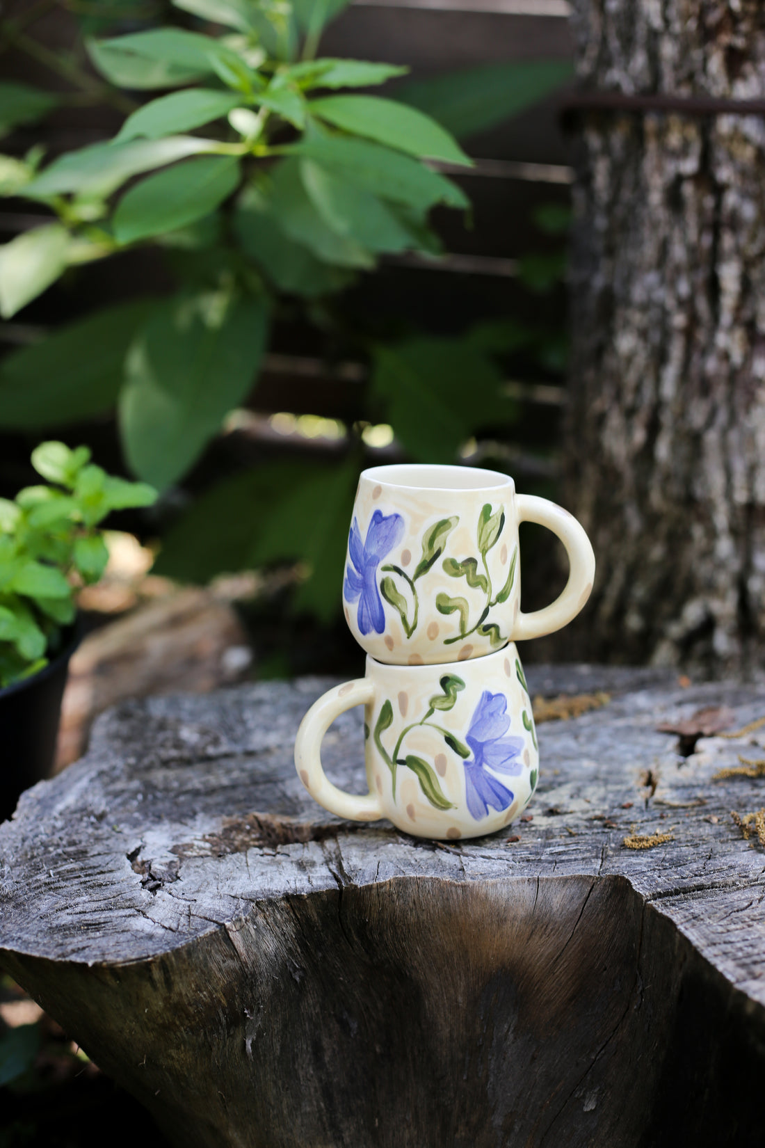 Jardín Mug